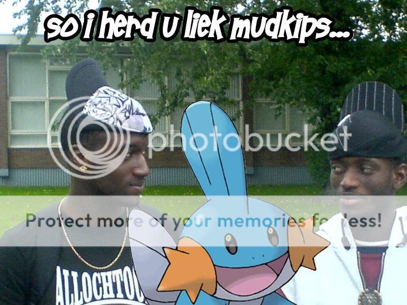 mudkips.jpg