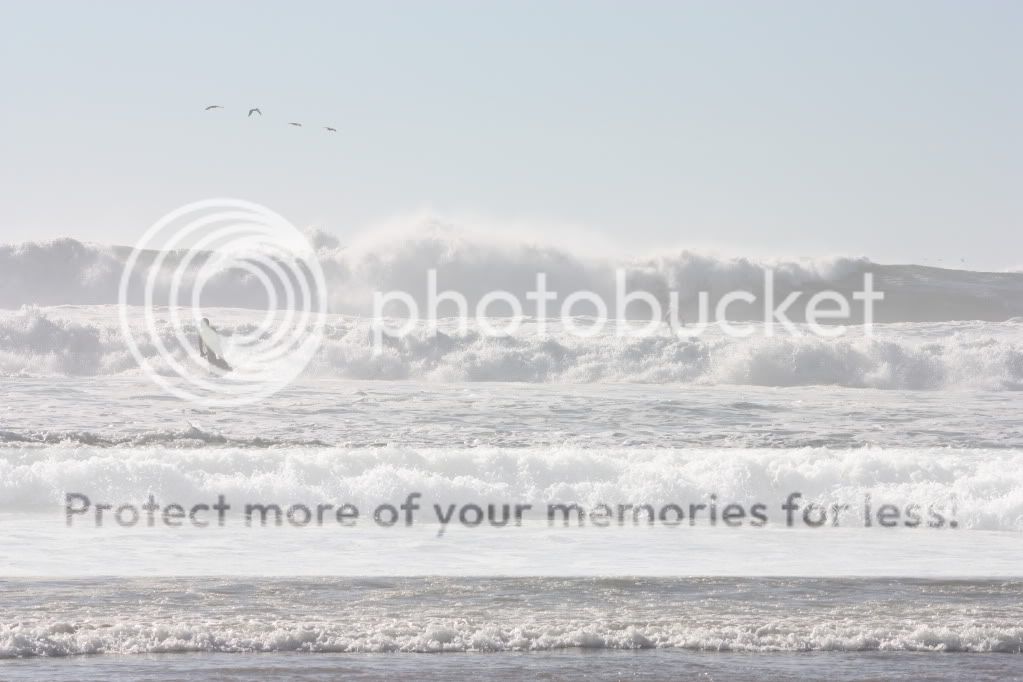 surfslam353.jpg