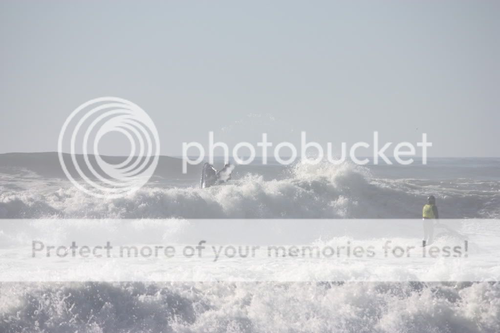 surfslam366.jpg