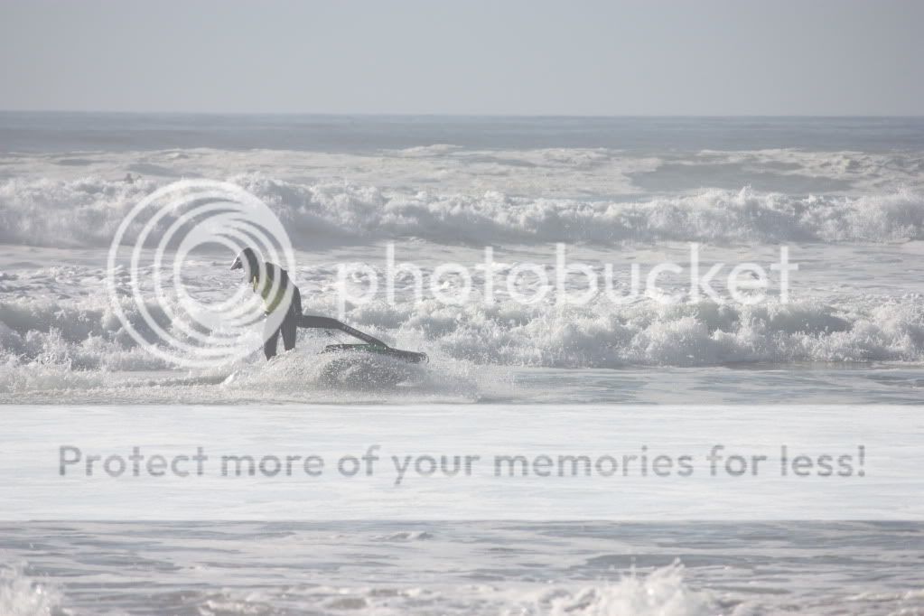 surfslam375.jpg