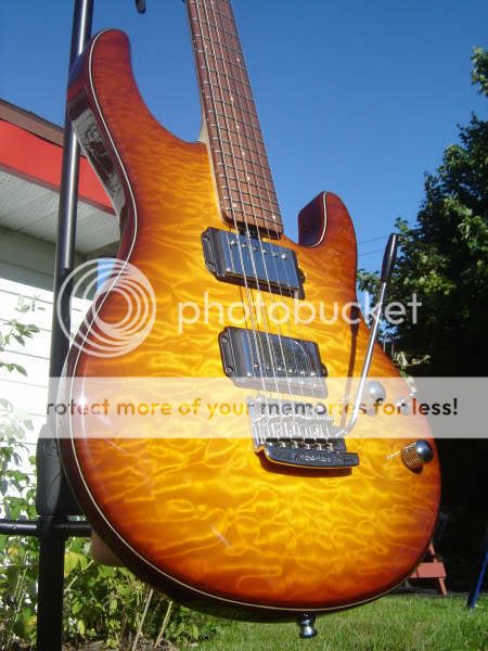 ErnieBallMusicMan20th_annSilhouette.jpg