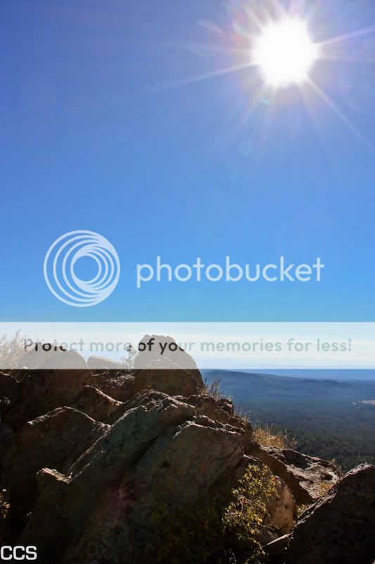 IMAGE: http://i534.photobucket.com/albums/ee349/ccswenson06/landscape.jpg