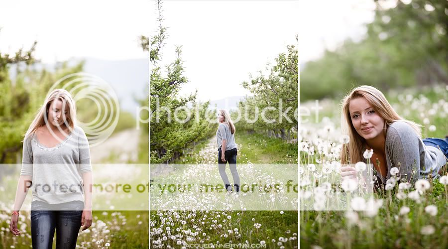 Chelan Senior Portraits,Orchard Senior Photos,Dandelions,Lake Chelan,Spring,Jacquelynn Brynn Photography,Grace,2011