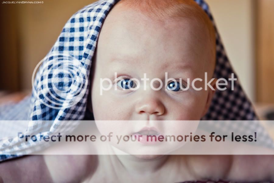 Plain,Washington photographer,jacquelynn brynn photography,family portraits,central washington,baby portraits,woods