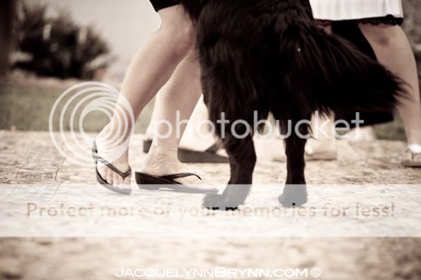 dog wedding dancing
