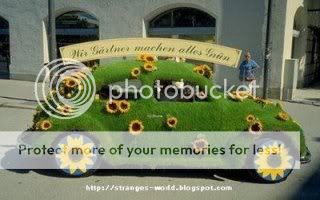 Green-cars-009.jpg