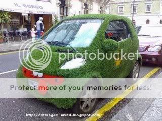 Green-cars-012.jpg