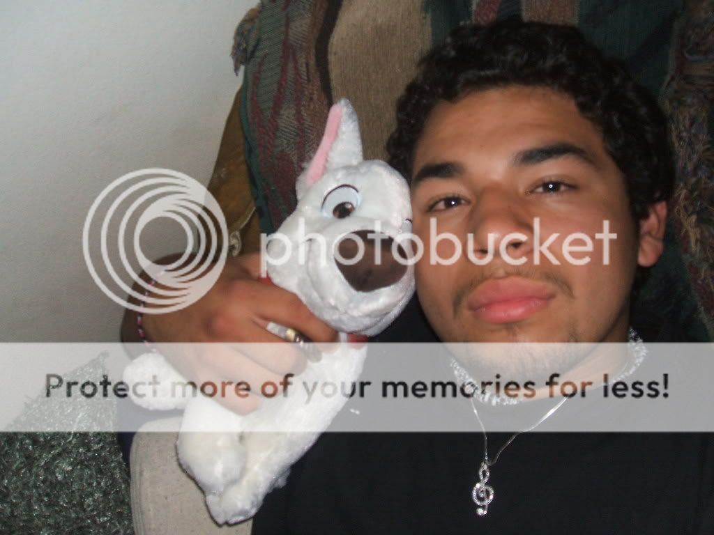 User Image