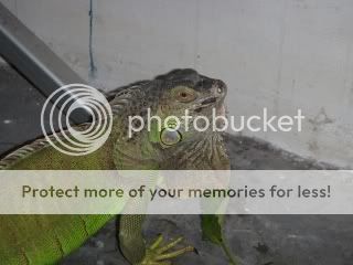 PC040232.jpg