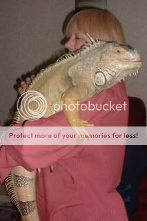 aaa.jpg